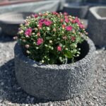 vaas-d40_hall-scaled