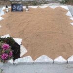 Processed with MOLDIV